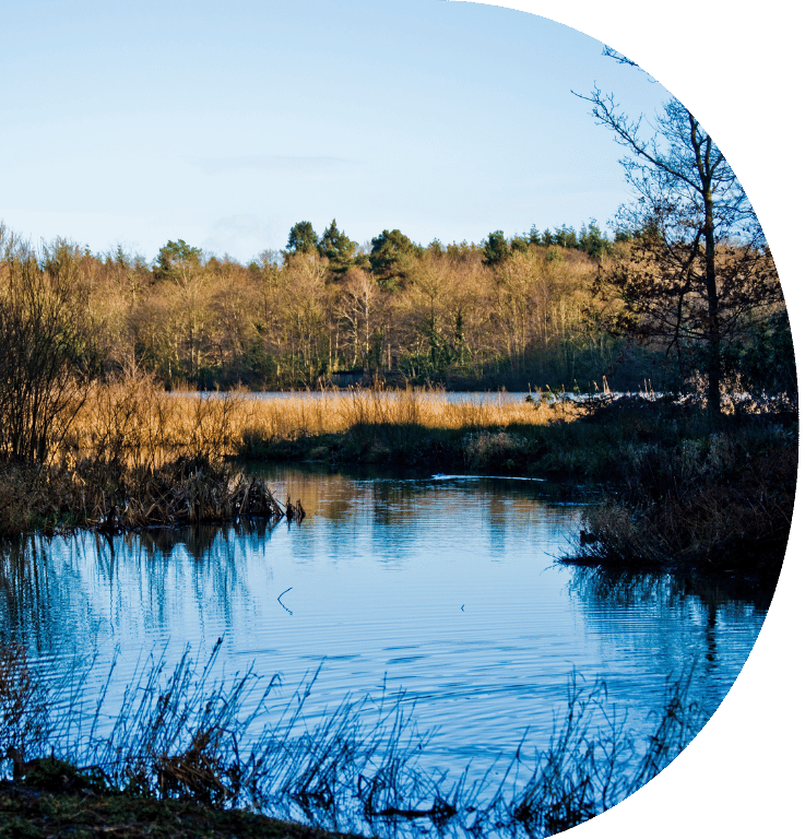 Picture of Stover Park in Devon. Image shows the lake in the foreground and trees in the distance.