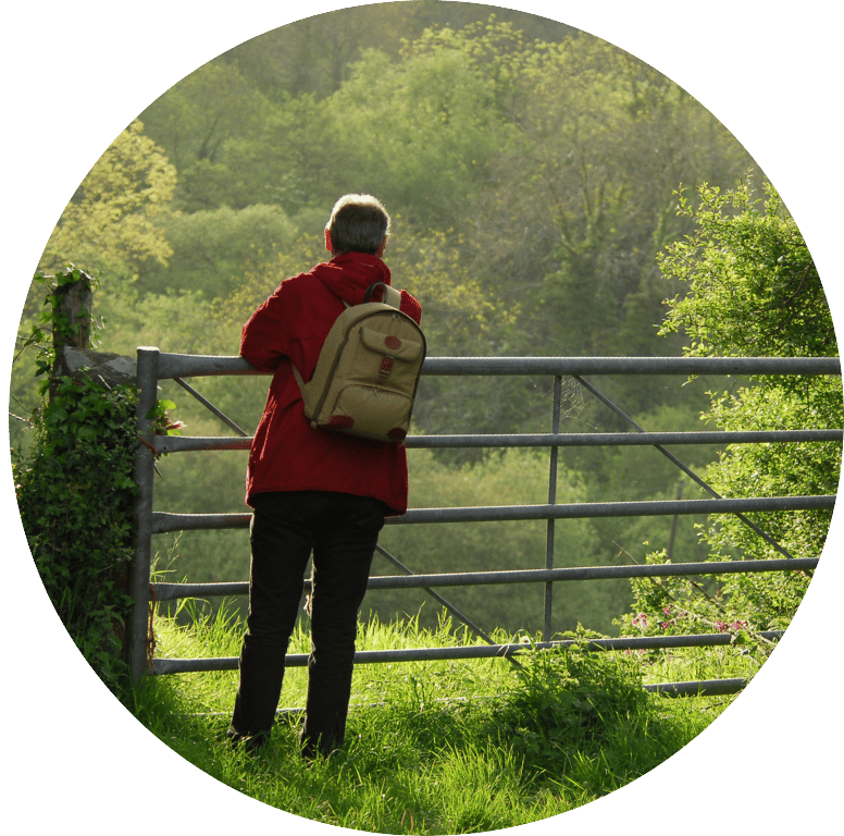 Picture of a person stood at a gate looking out to a view of a Devonshire wood.