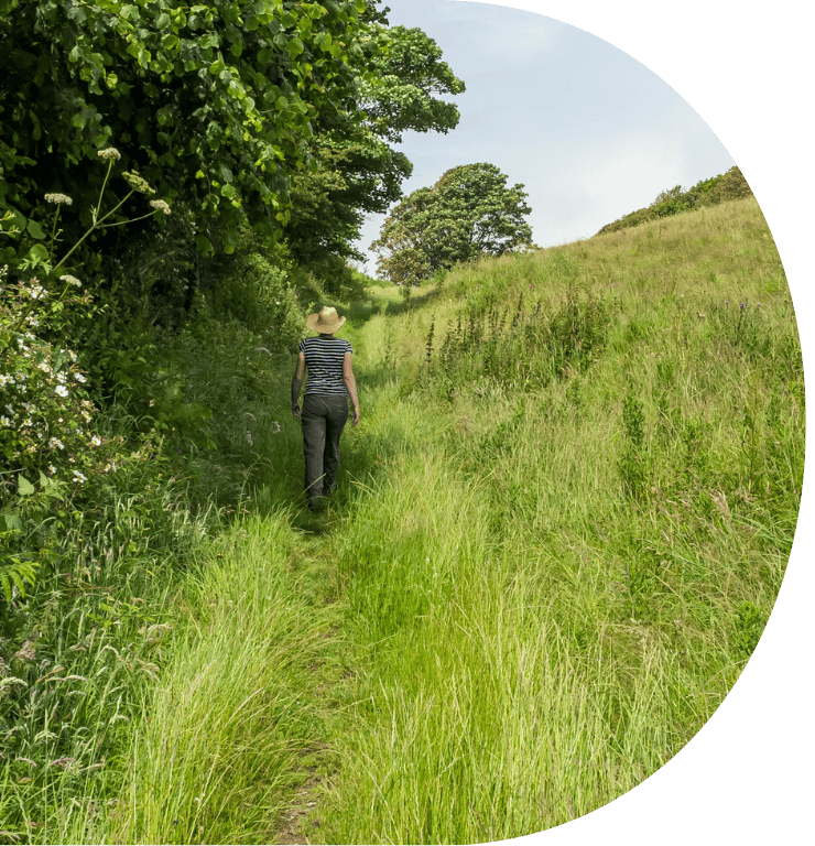 Picture of a person walking on a path away from the camera through a grass covered field.