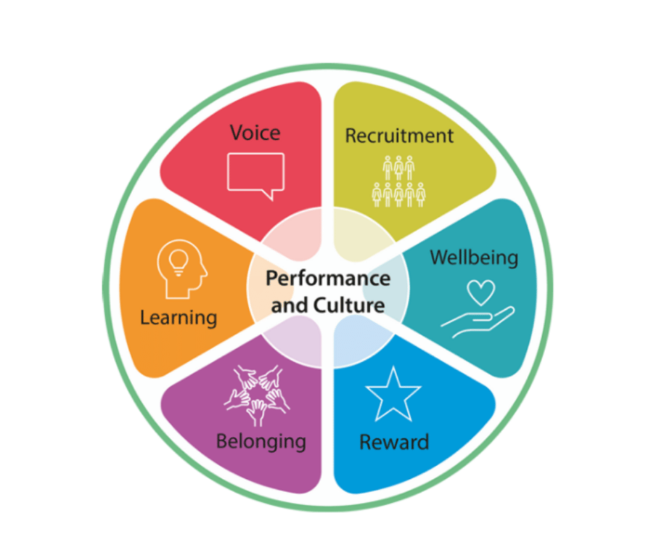 Circular infographic divided into six coloured segments around a central circle labelled “Performance and Culture.” The segments are labelled “Voice” (speech bubble icon), “Recruitment” (group of people icon), “Wellbeing” (hand holding a heart icon), “Reward” (star icon), “Belonging” (hands reaching together icon), and “Learning” (head with light bulb icon). Each segment is a different colour and arranged like slices of a wheel around the centre.