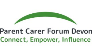 Parent carer forum devon connect empower influence